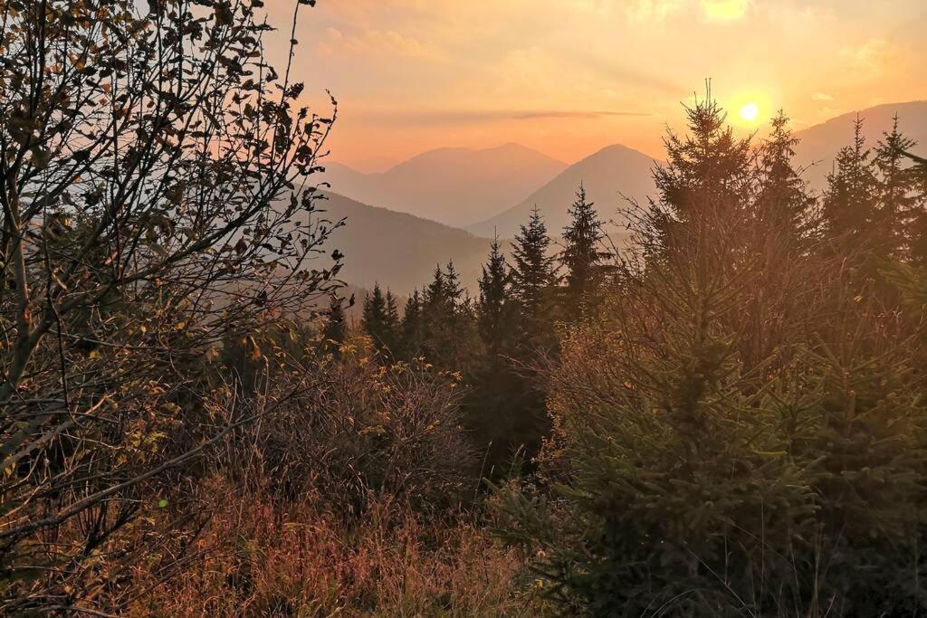 Appartment Dutzler Sankt Martin am Tennengebirge Buitenkant foto