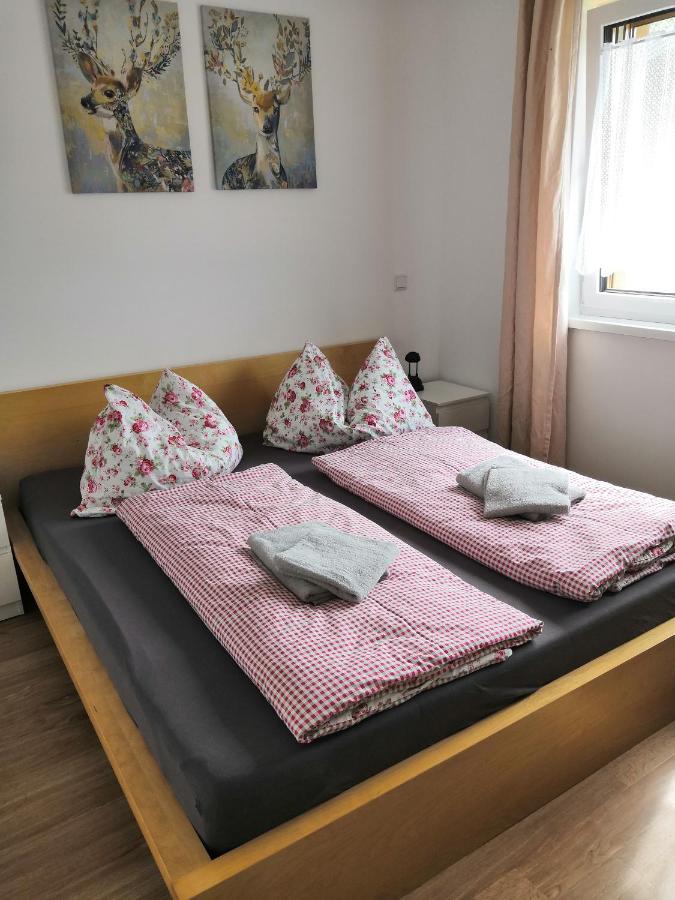 Appartment Dutzler Sankt Martin am Tennengebirge Buitenkant foto