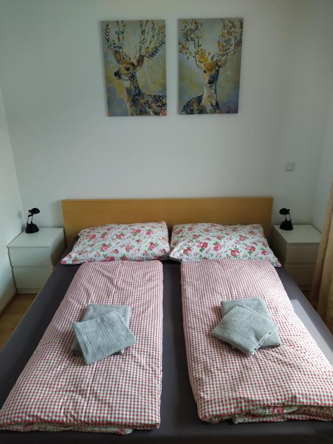 Appartment Dutzler Sankt Martin am Tennengebirge Buitenkant foto